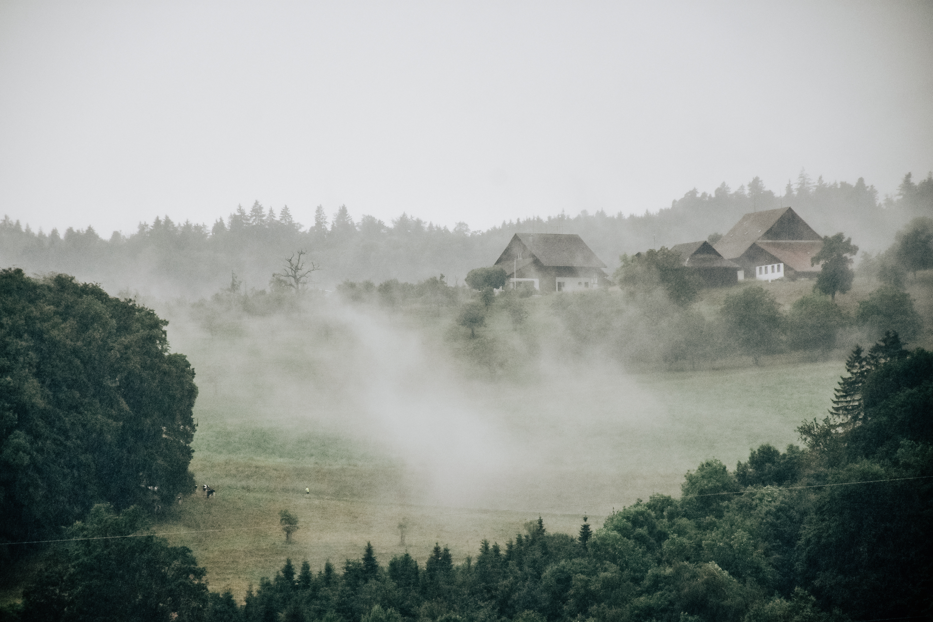 Bauernhof, Birmensdorf. Foto: Pascal Turin