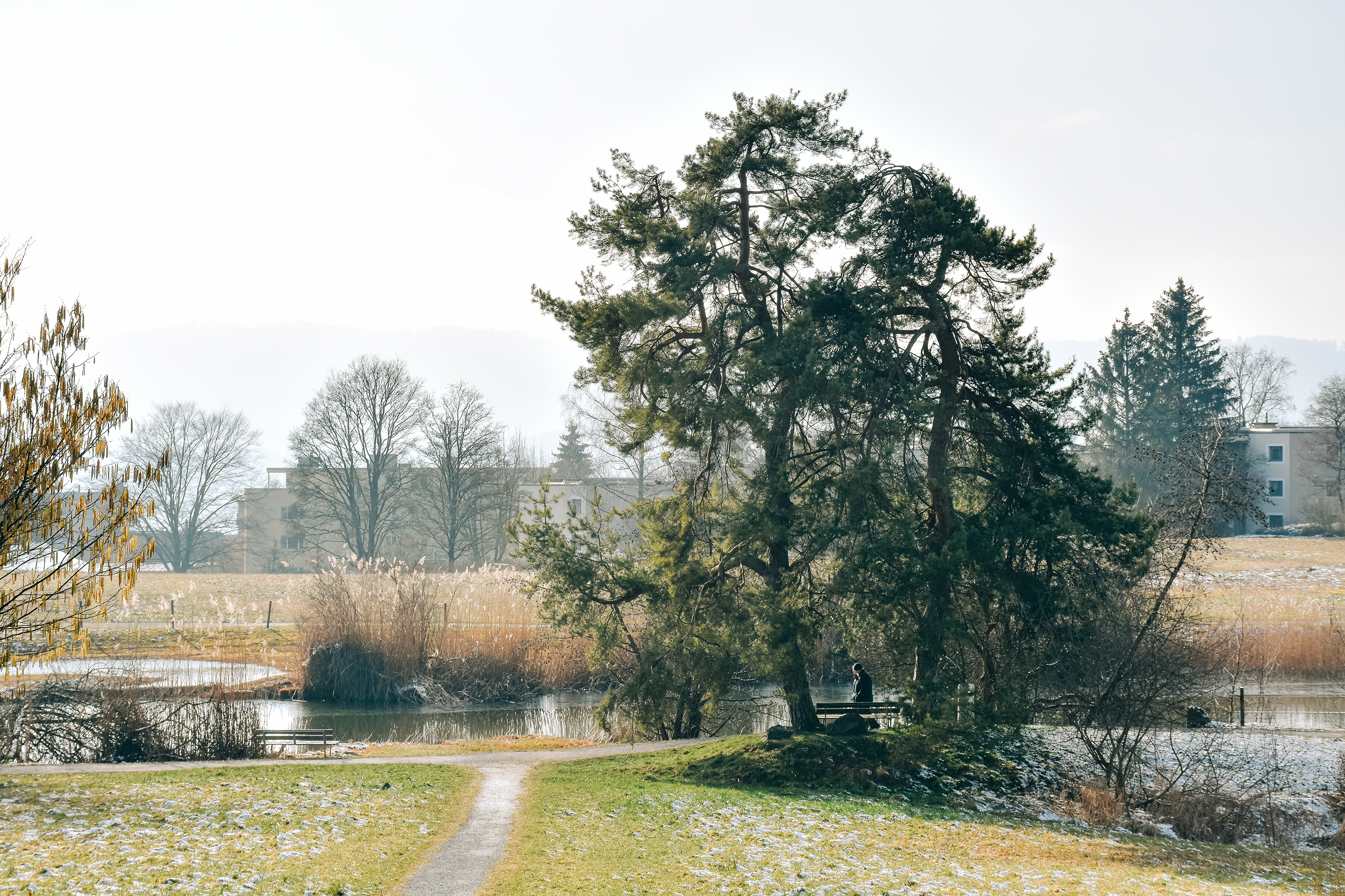 Schübelweiher, Küsnacht. Foto: Pascal Turin